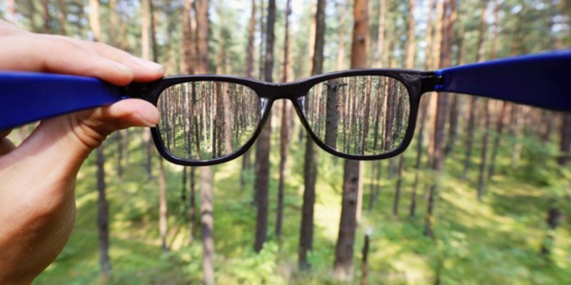 Are Your Customers Seeing Beyond The Trees?